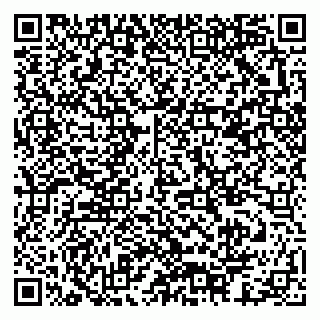 vCard 79378003151