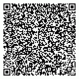 vCard 79378003156