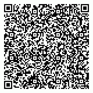 vCard 79378003157