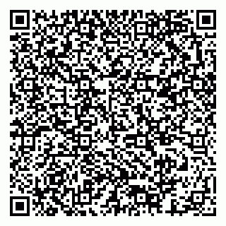 vCard 79378003163