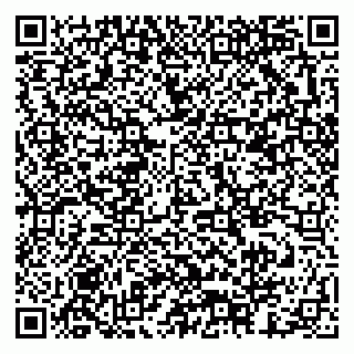 vCard 79378003169