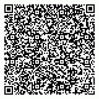 vCard 79378003171