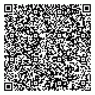 vCard 79378003174
