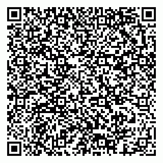 vCard 79378003205