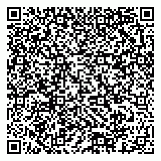vCard 79378003209