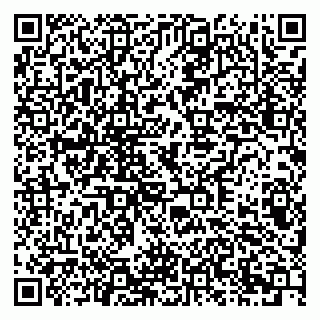 vCard 79378003211