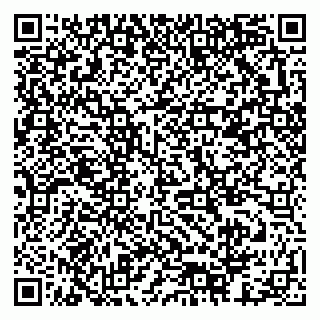 vCard 79378003272