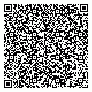 vCard 79378003281