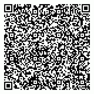 vCard 79378003287
