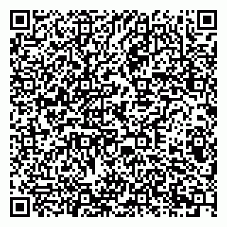 vCard 79378003291