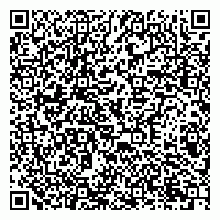 vCard 79378003293