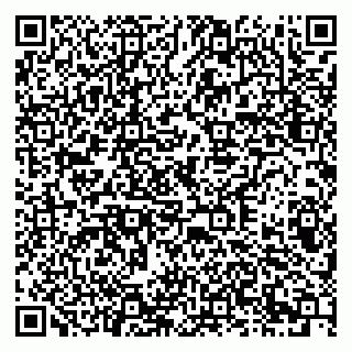 vCard 79378003295
