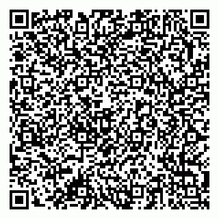 vCard 79378003297