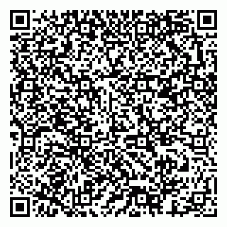 vCard 79378003298