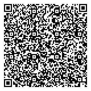 vCard 79378003299