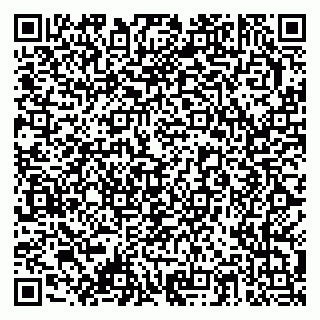 vCard 79378003303