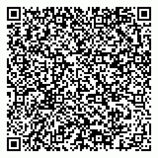 vCard 79378003305