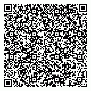 vCard 79378003306