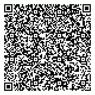 vCard 79378003308