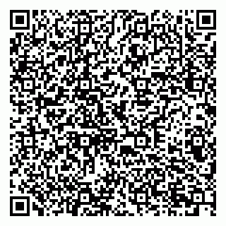 vCard 79378003313