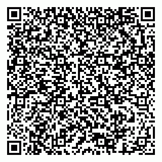 vCard 79378003317
