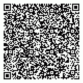 vCard 79378003319