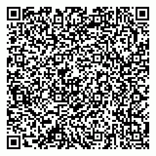 vCard 79378003333