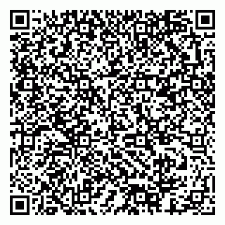 vCard 79378003370