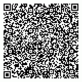 vCard 79378003381
