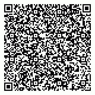 vCard 79378003382