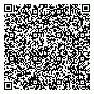 vCard 79378003391