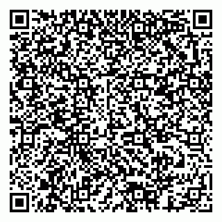 vCard 79378003402