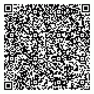 vCard 79378003410