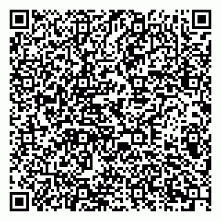 vCard 79378003411