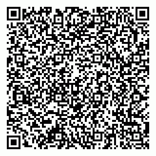 vCard 79378003417