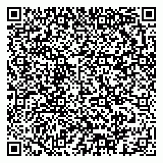 vCard 79378003421