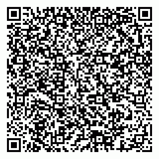 vCard 79378003503