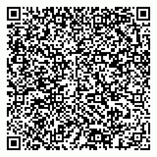 vCard 79378003508