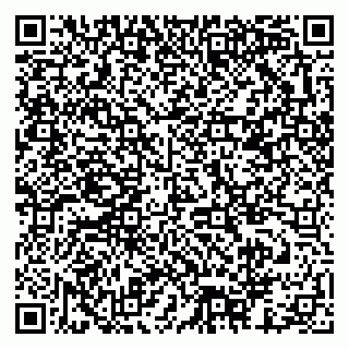 vCard 79378003513