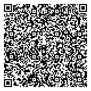vCard 79378003515