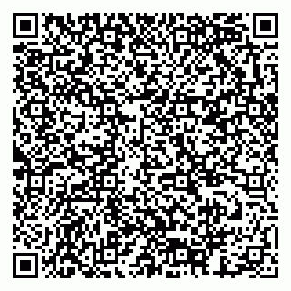vCard 79378003517