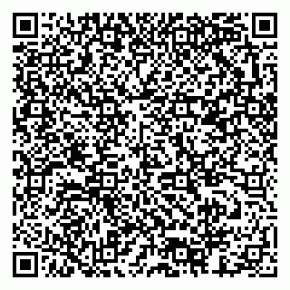 vCard 79378003519