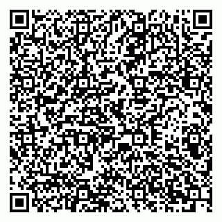 vCard 79378003521