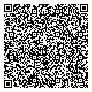 vCard 79378003527