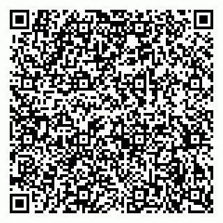 vCard 79378003531