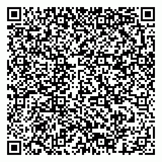 vCard 79378003581