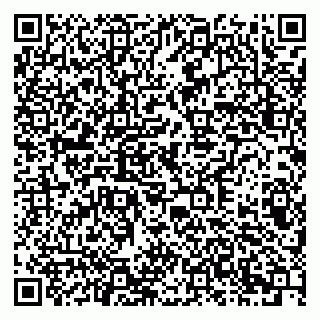 vCard 79378003681