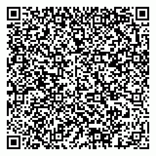 vCard 79378003687
