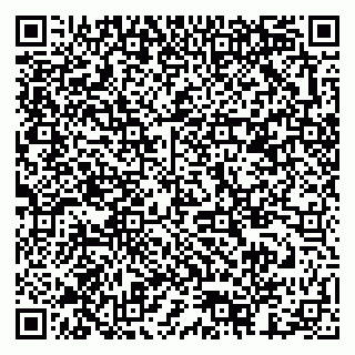 vCard 79378003689