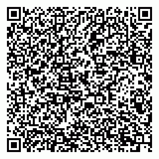 vCard 79378003713